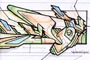 Plants: image 1 0f 27 thumb