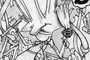 Plants: image 1 0f 27 thumb