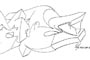 Plants: image 1 0f 27 thumb