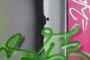 Plants: image 1 0f 27 thumb