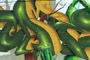 Plants: image 1 0f 27 thumb